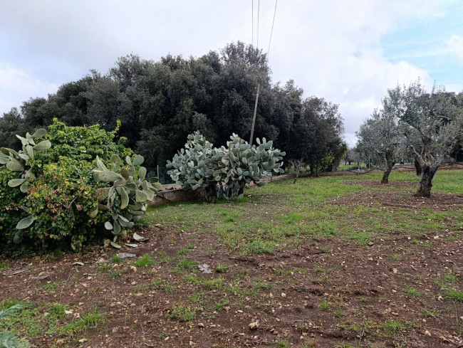 Terreno in vendita a San Vito dei Normanni
