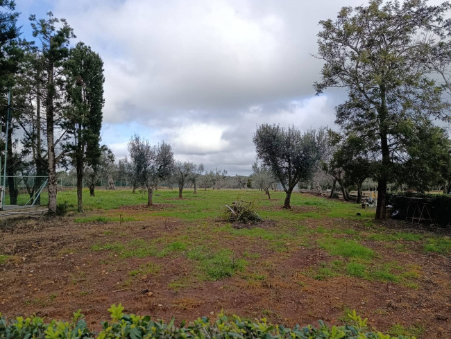 Terreno in vendita a San Vito dei Normanni