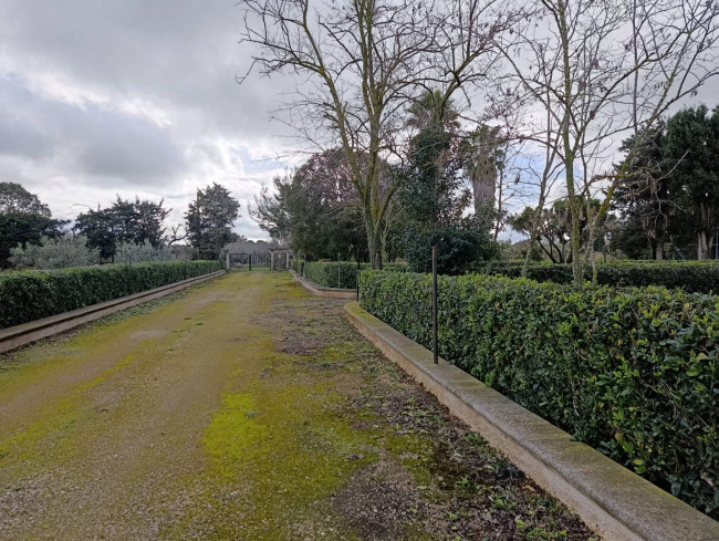 Terreno in vendita a San Vito dei Normanni