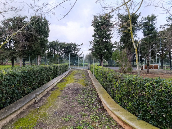 Terreno in vendita a San Vito dei Normanni