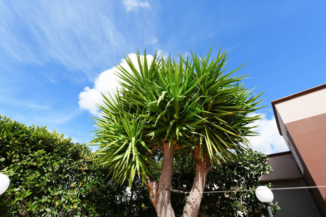 Ristorante in vendita a Francavilla Fontana