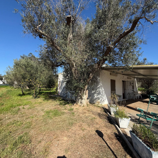 Villa o villino in vendita a Latiano