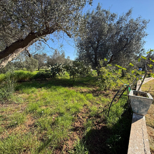 Villa o villino in vendita a Latiano