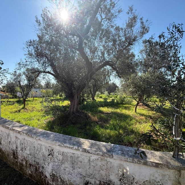 Villa o villino in vendita a Latiano