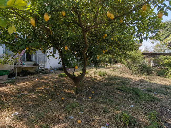  for sale in Oria