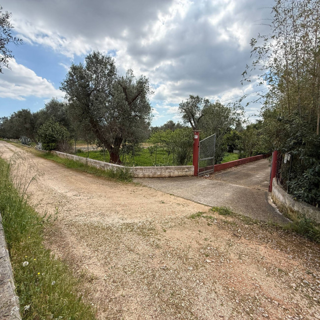  for sale in Latiano