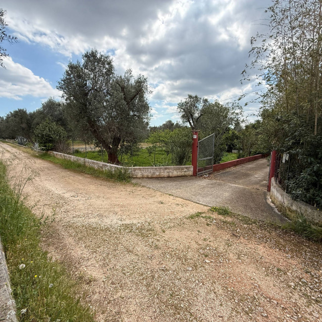  for sale in Latiano