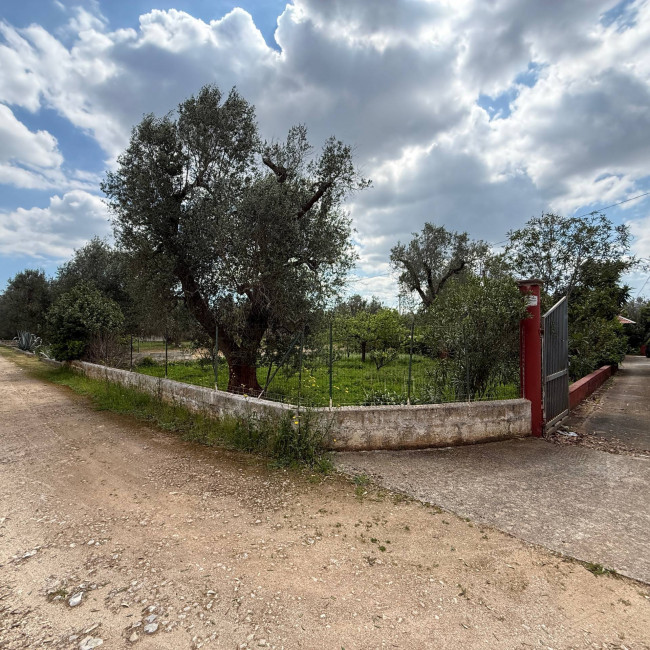  for sale in Latiano