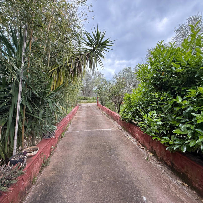  for sale in Latiano