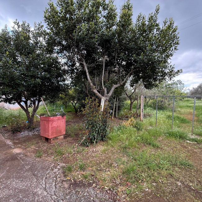  for sale in Latiano