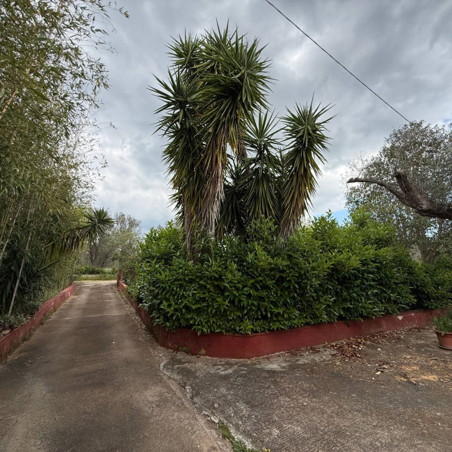  for sale in Latiano