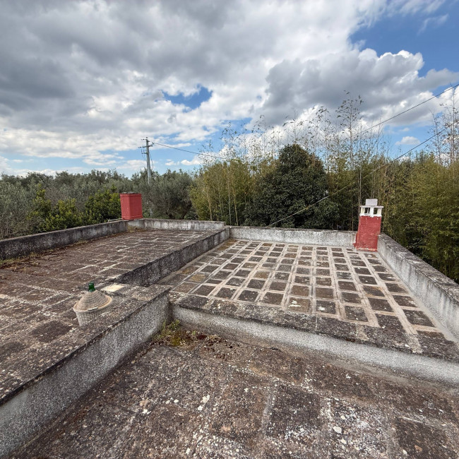  for sale in Latiano