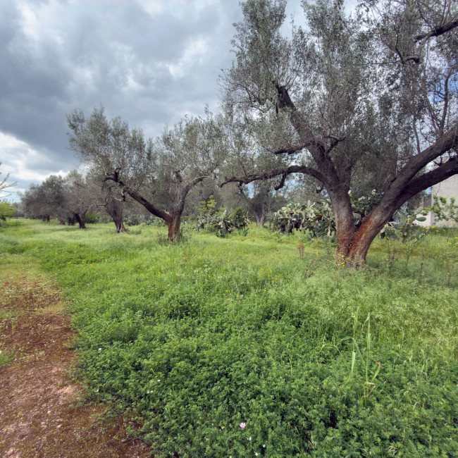  for sale in Latiano