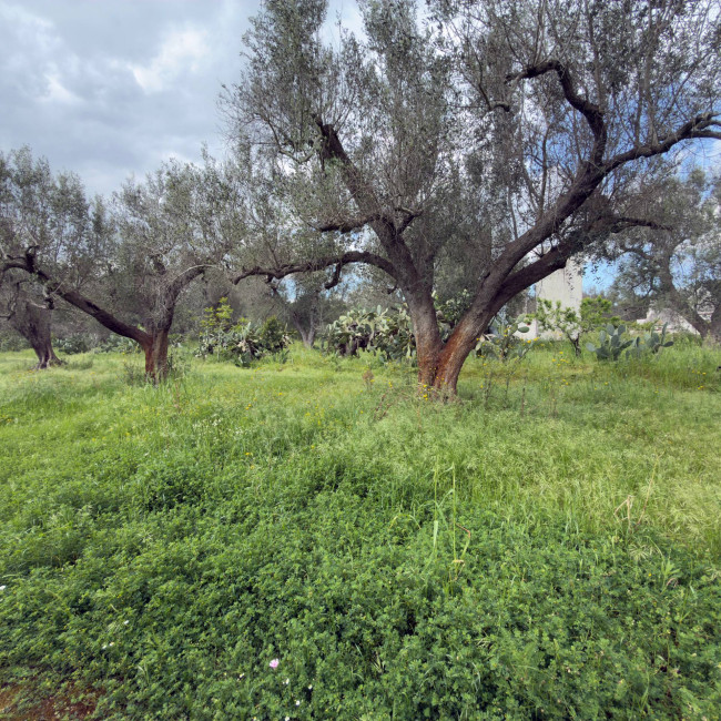  for sale in Latiano