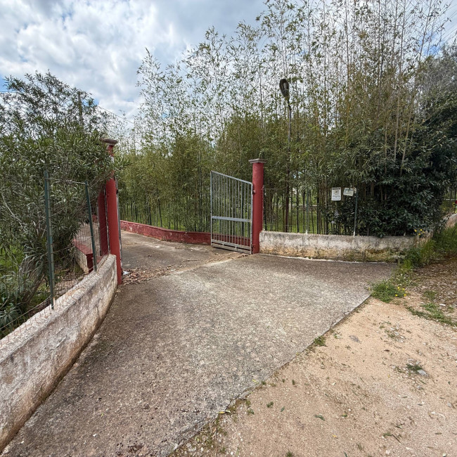  for sale in Latiano