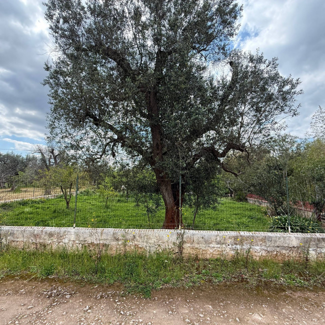  for sale in Latiano