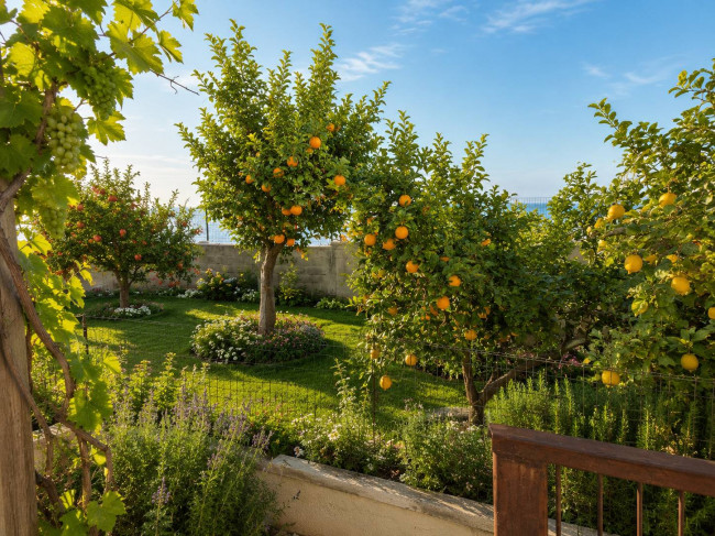  for sale in Brindisi