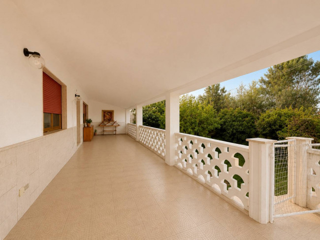  for sale in Brindisi