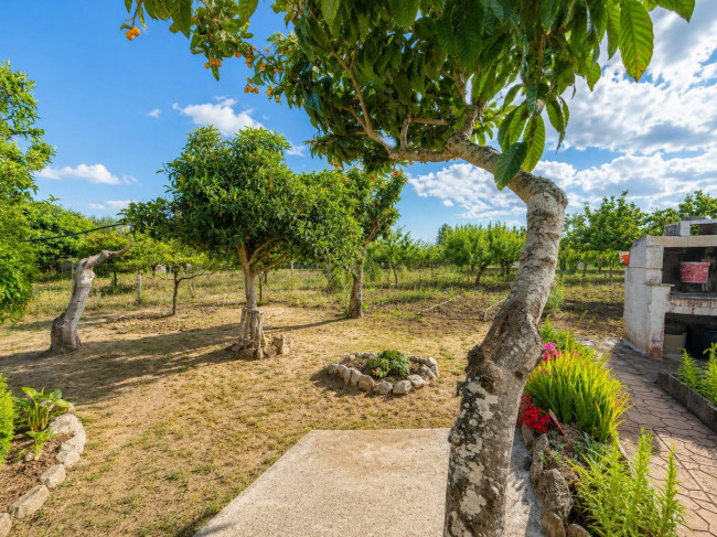  for sale in Latiano