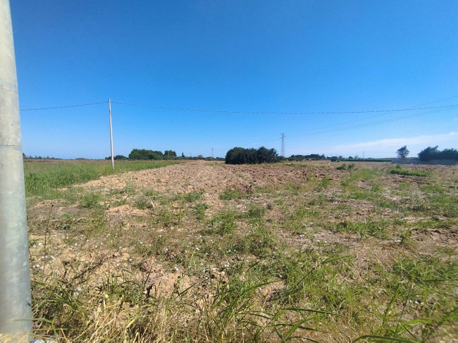  for sale in Brindisi