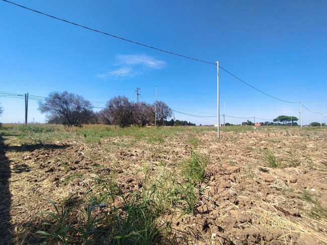  for sale in Brindisi