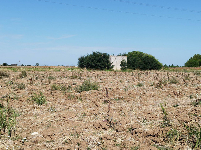  for sale in Brindisi
