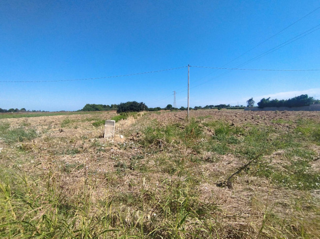  for sale in Brindisi