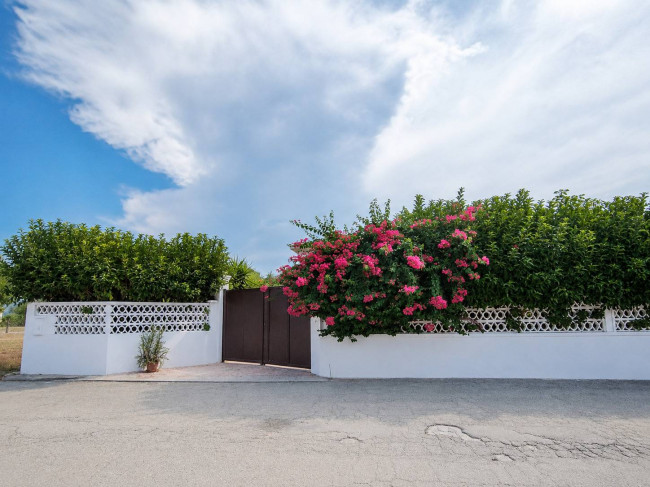  for sale in Brindisi