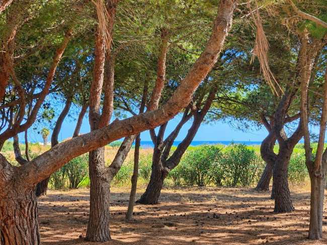 Villa o villino in vendita a Brindisi