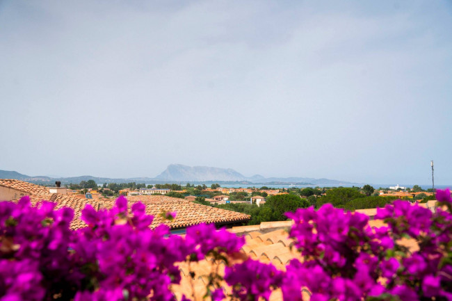 Villette a schiera in vendita a San Teodoro