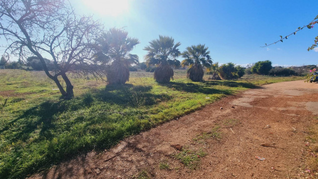 Terreno Agricolo in vendita a Quartu Sant'Elena