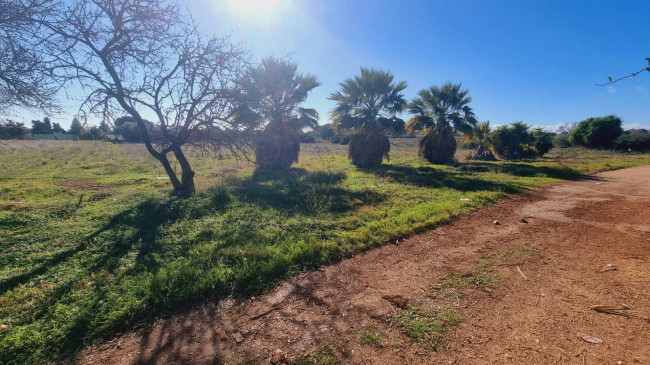 Terreno Agricolo in vendita a Quartu Sant'Elena