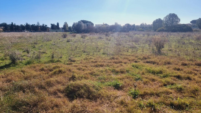 Terreno Agricolo in vendita a Quartu Sant'Elena