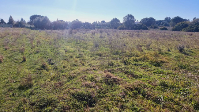 Terreno Agricolo in vendita a Quartu Sant'Elena