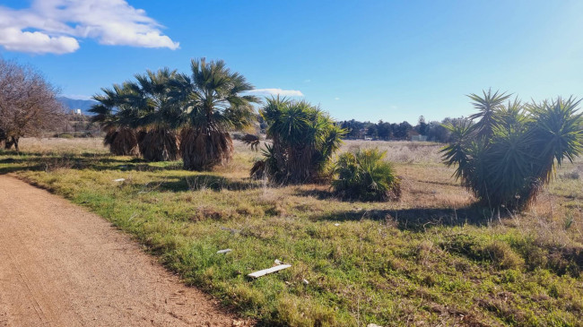 Terreno Agricolo in vendita a Quartu Sant'Elena