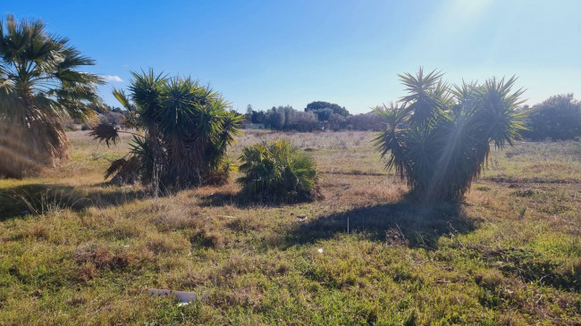 Terreno Agricolo in vendita a Quartu Sant'Elena