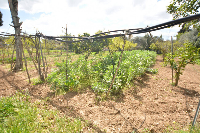 Villa in vendita a Assemini