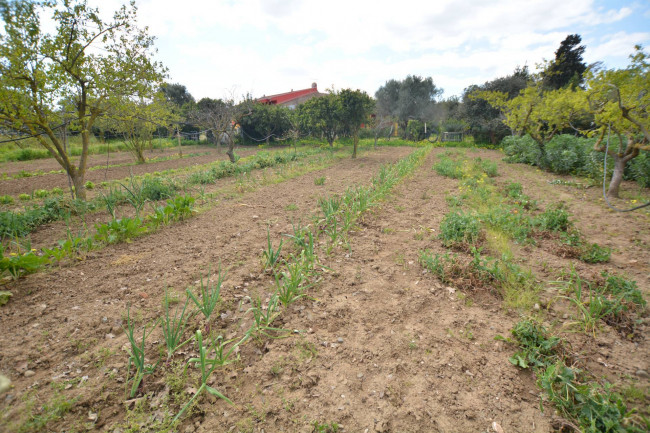 Villa in vendita a Assemini