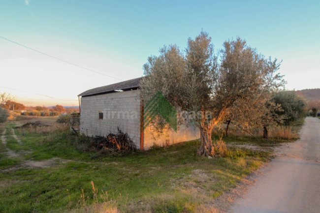 Locale artigianale in vendita a Bellante