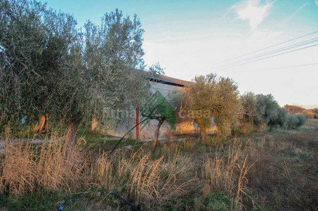 Locale artigianale in vendita a Bellante