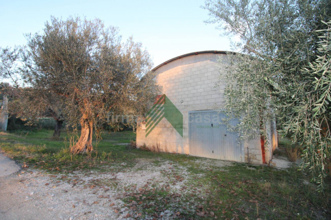 Locale artigianale in vendita a Bellante