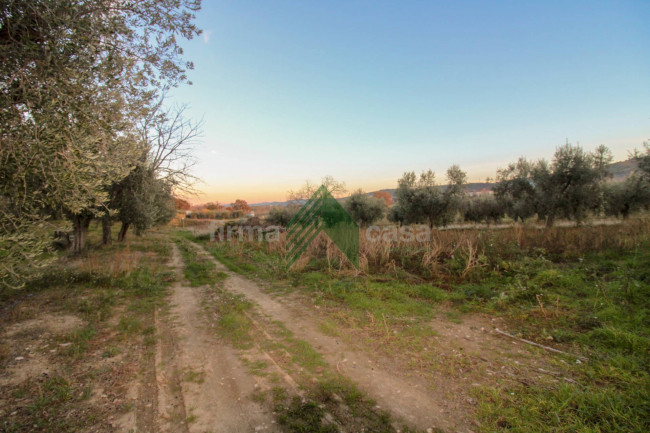 Locale artigianale in vendita a Bellante