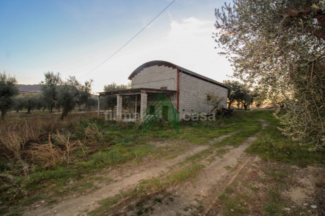 Locale artigianale in vendita a Bellante