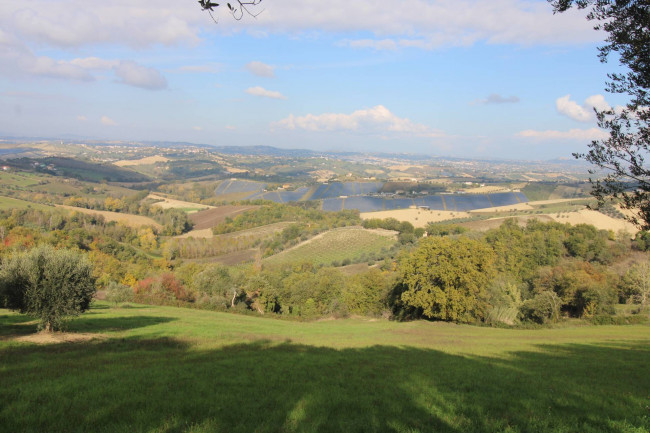 Terreno Agricolo in vendita a Bellante