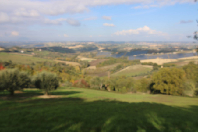 Terreno Agricolo in vendita a Bellante