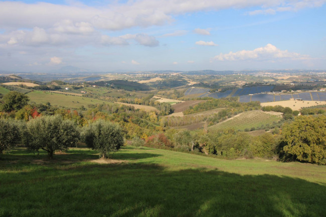 Terreno Agricolo in vendita a Bellante