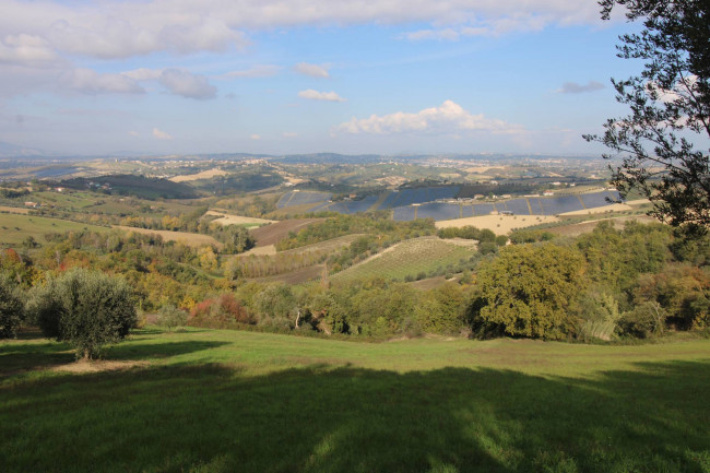 Terreno Agricolo in vendita a Bellante
