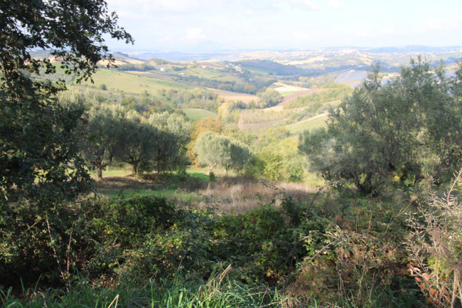 Terreno Agricolo in vendita a Bellante