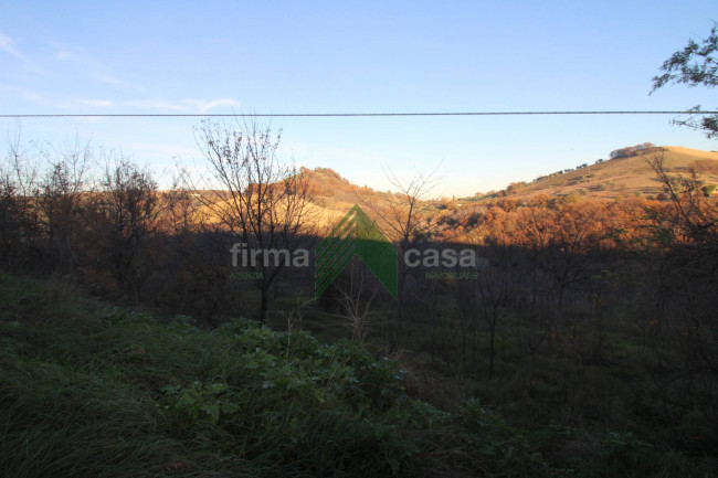 Terreno Agricolo in vendita a Bellante
