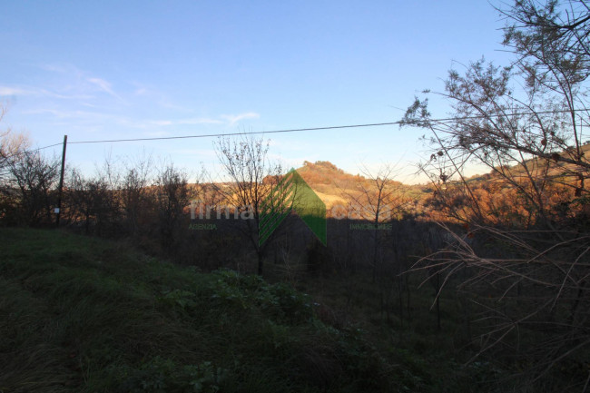 Terreno Agricolo in vendita a Bellante